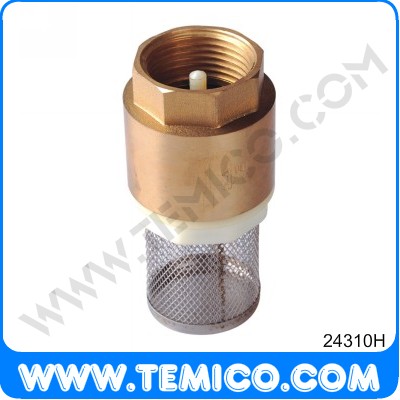 Spring check valve with filter (24310H)