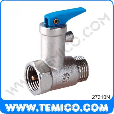 Safety valves (27310N)