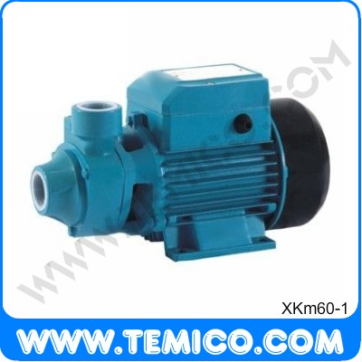 Micro vortex pump (XKm60-1)