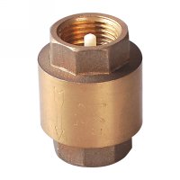 Spring check valve(24300H)