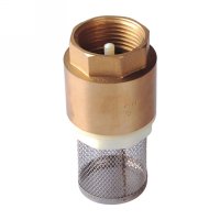 Spring check valve with filter(24310H)