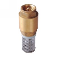 Heavy type spring check valve filter(24330H)