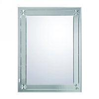 Mirror(55119)