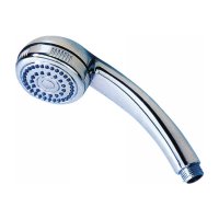 Hand shower (60016C)
