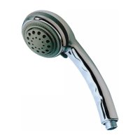 Hand shower (60548C)